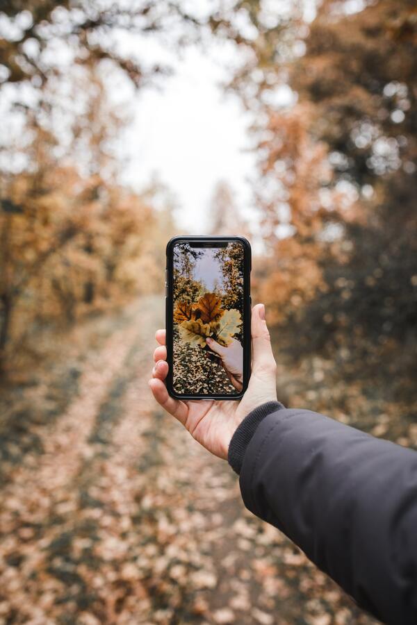 3 ideas para crear historias de Instagram