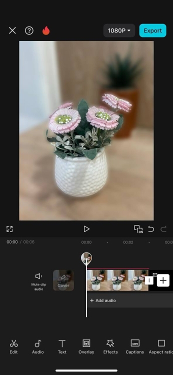 blur background - screenshot flower pot after capcut