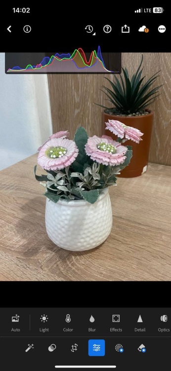 blur background - screenshot flower pot before lightroom