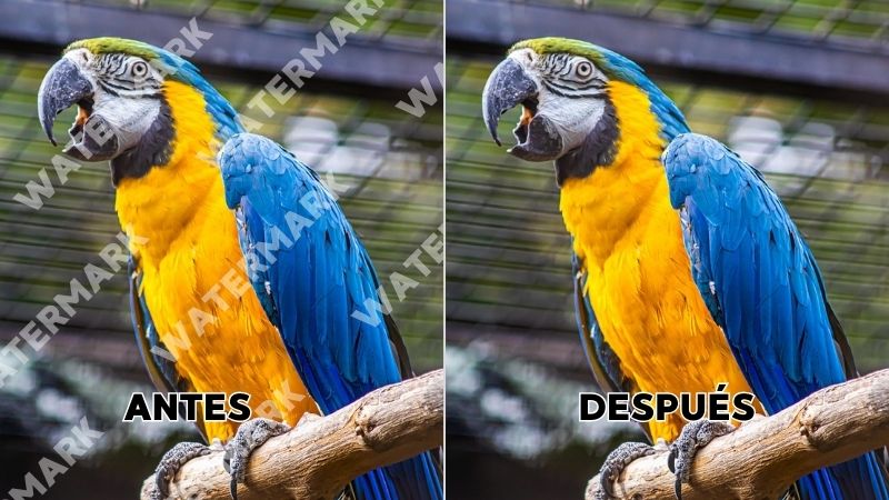 Cómo quitar la marca de agua de una imagen en un clic