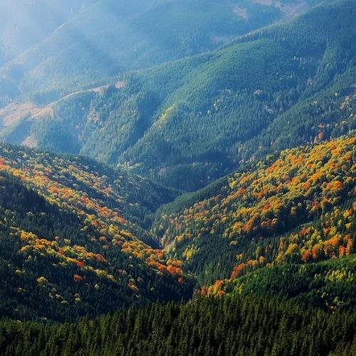 remove watermark - mountain scenery without watermark