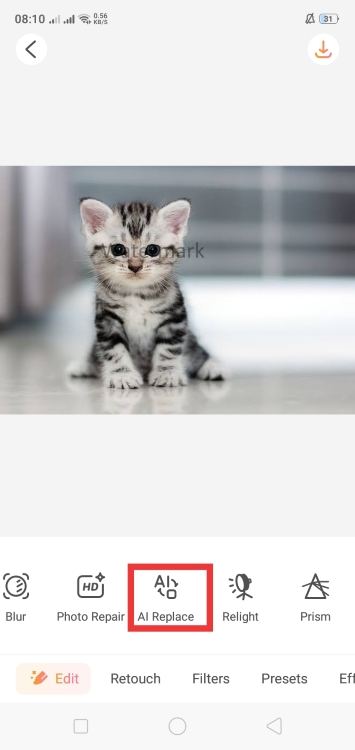 AirBrush AI Replace App Screenshot EN - kitty watermark ai replace