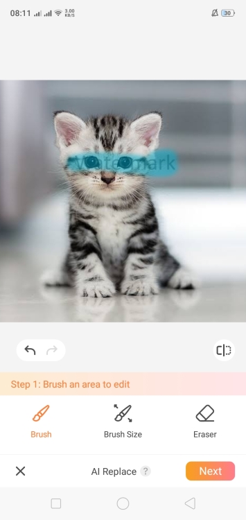 AirBrush AI Replace App Screenshot EN - kitty watermark brush