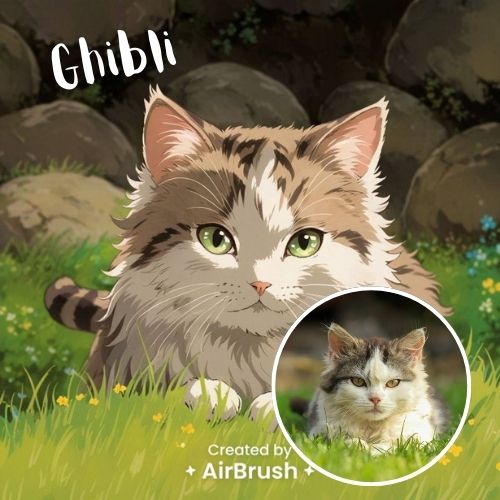 ghibli filter - cat on the grass