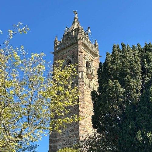 ghibli filter - tower in the woods before