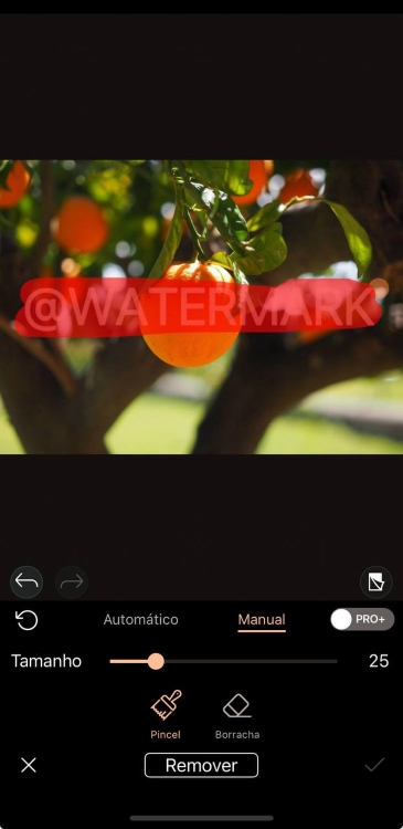 PhotoDirector Watermark Remover App Screenshot PT