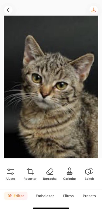 AirBrush App Screenshot PT - improve image quality upload picture