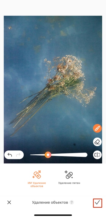 AirBrush App Screenshot RU - Image Watermark Remover result