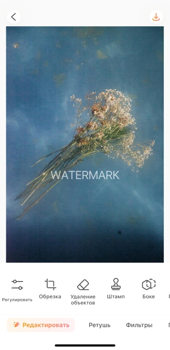 AirBrush App Screenshot RU - Image Watermark Remover upload photo