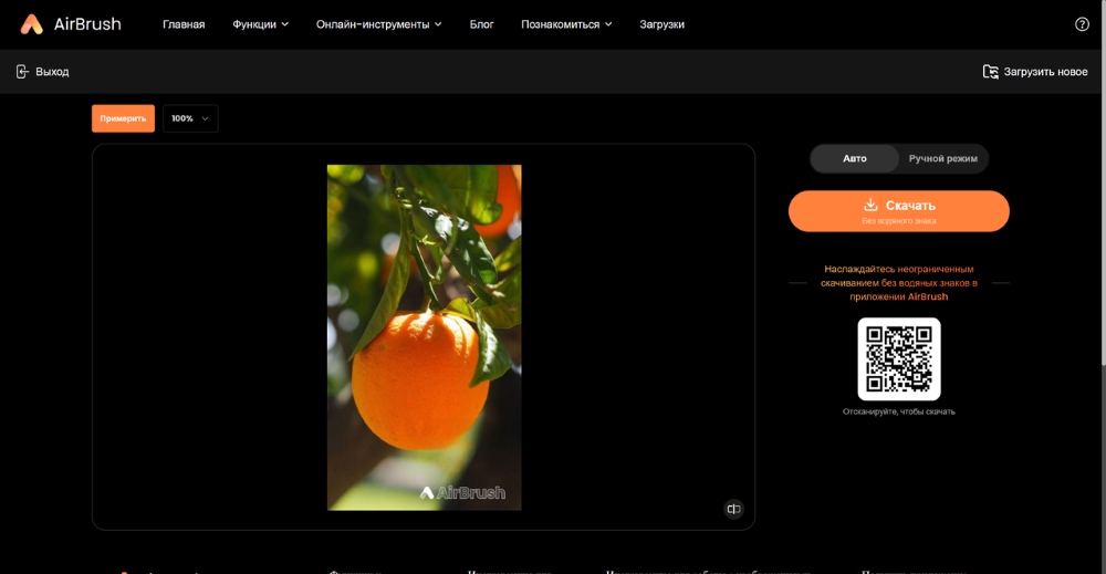 AirBrush Web Screenshot RU - Image Watermark Remover result