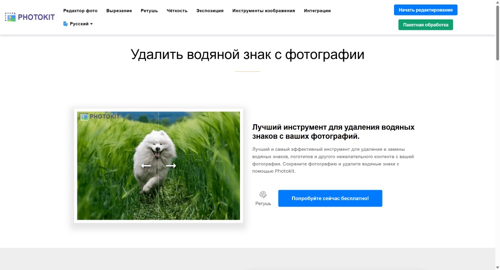 Photokit Web Screenshot RU - Image Watermark Remover