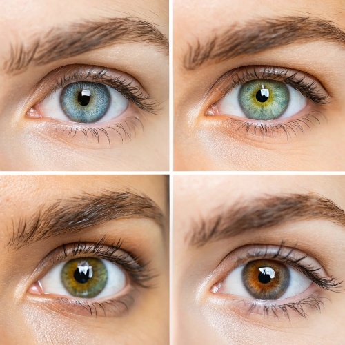 hair colour changer - eye colour options