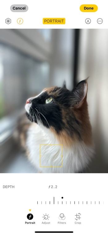 iPhone Portrait Screenshot EN - blur background choose depth