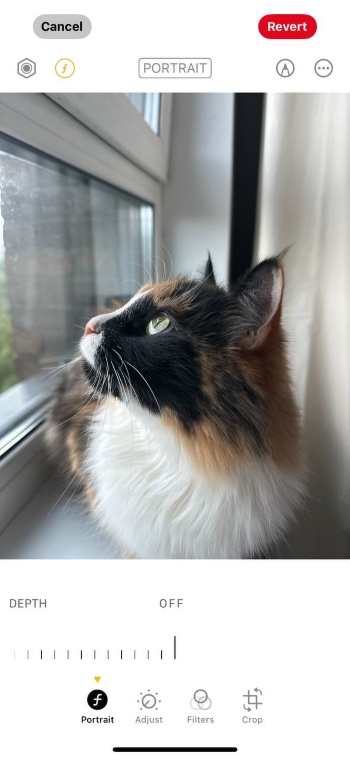 iPhone Portrait Screenshot EN - blur background portrait