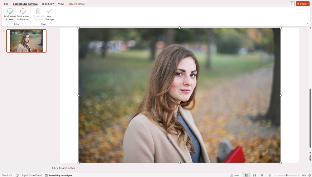 PowerPoint Screenshot EN - background remover