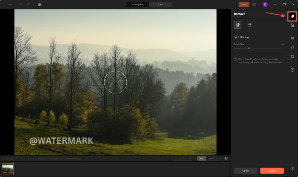 AirBrush Studio Screenshot EN - remove watermark remove tool