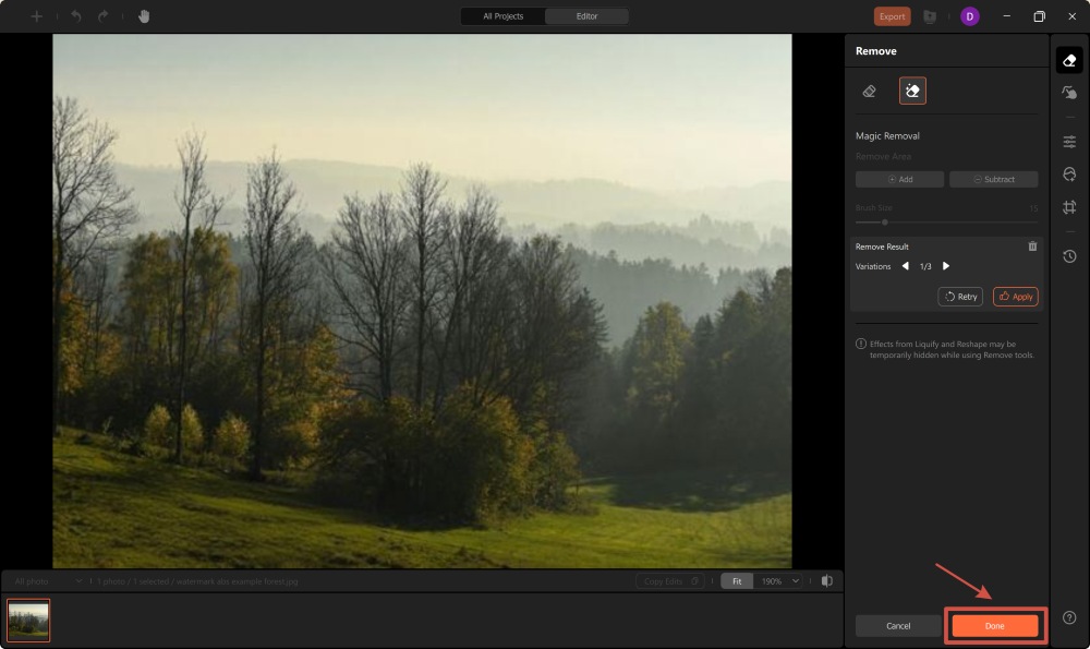 AirBrush Studio Screenshot EN - remove watermark result done
