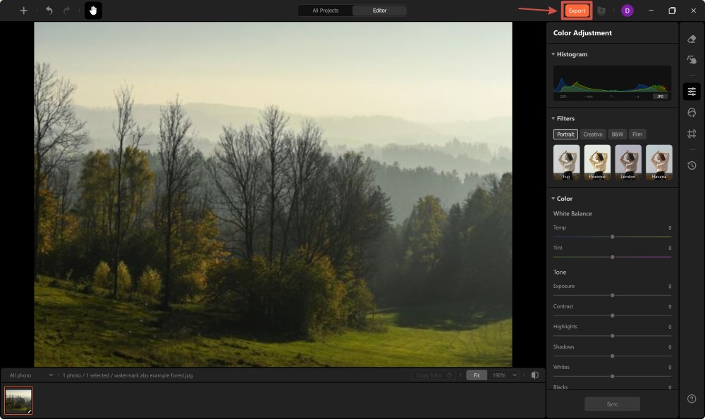 AirBrush Studio Screenshot EN - remove watermark result export