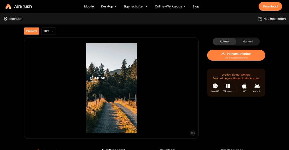 AirBrush Web Screenshot DE - watermark remover uploaded image