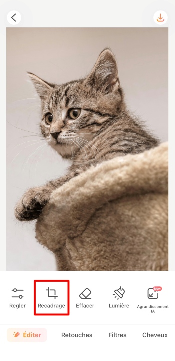 AirBrush App Screenshot FR - invert image crop