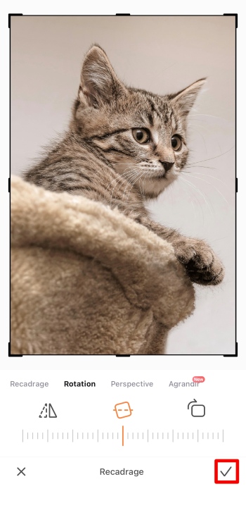 AirBrush App Screenshot FR - invert image tick