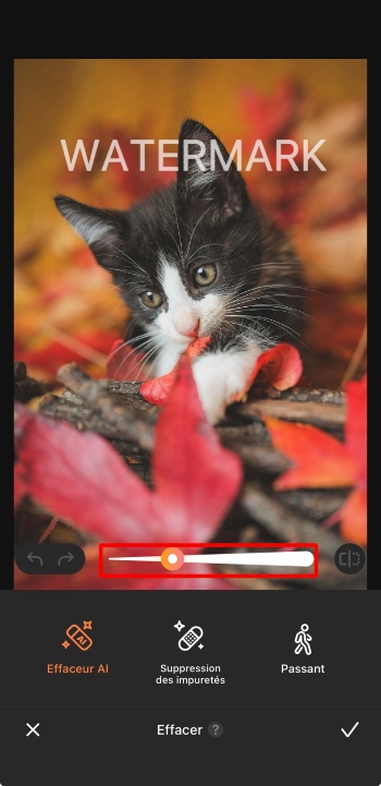 AirBrush App Screenshot FR - remove watermark adjust the brush size