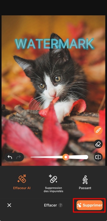 AirBrush App Screenshot FR - remove watermark brush the watermark and remove