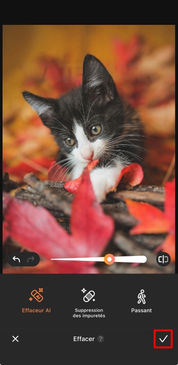 AirBrush App Screenshot FR - remove watermark save the result