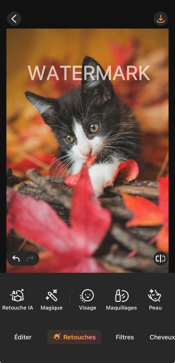 AirBrush App Screenshot FR - remove watermark upload image