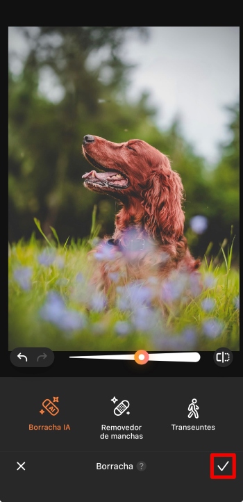 AirBrush App Screenshot PT - delete text ai eraser result tick
