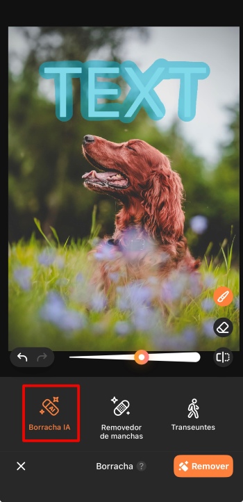 AirBrush App Screenshot PT - delete text ai eraser