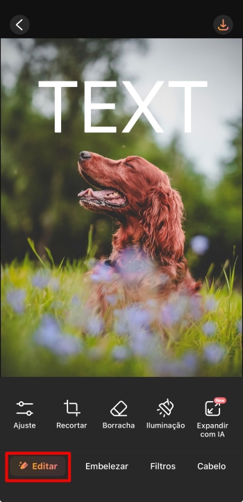 AirBrush App Screenshot PT - delete text edit