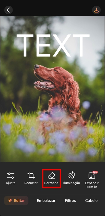 AirBrush App Screenshot PT - delete text eraser