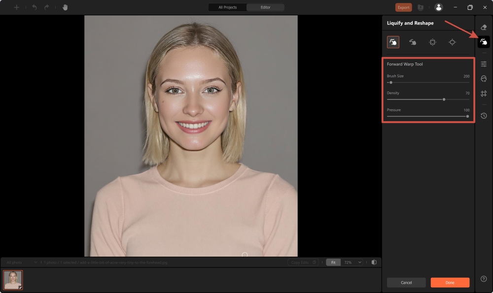 AirBrush Studio Screenshot EN - Face Editing Apps Forward Warp Tool