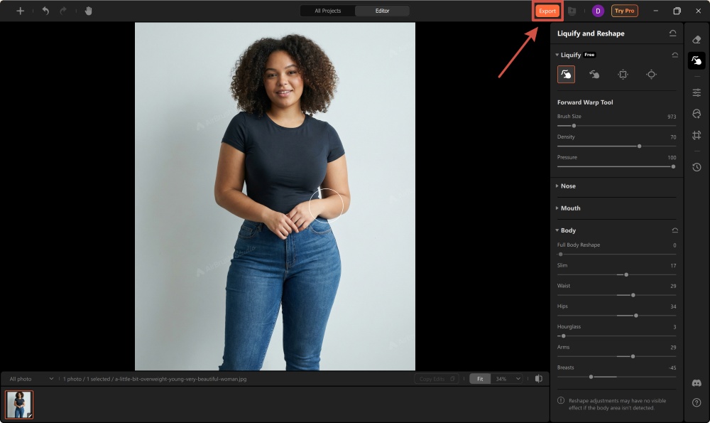 AirBrush Studio Screenshot EN - body editing apps liquify and reshape export the result