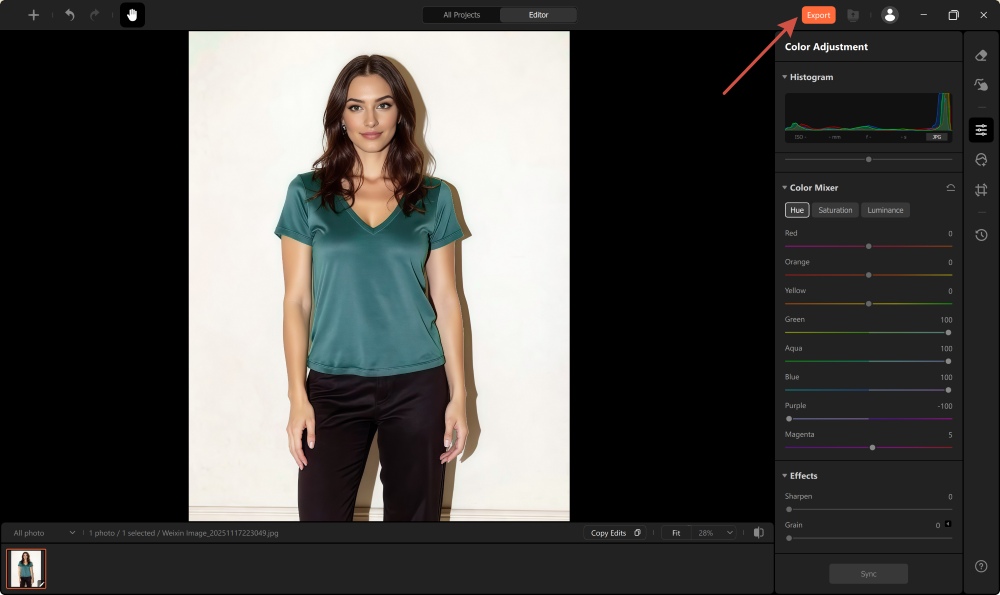 AirBrush Studio Screenshot EN - change color of clothes in photo result export