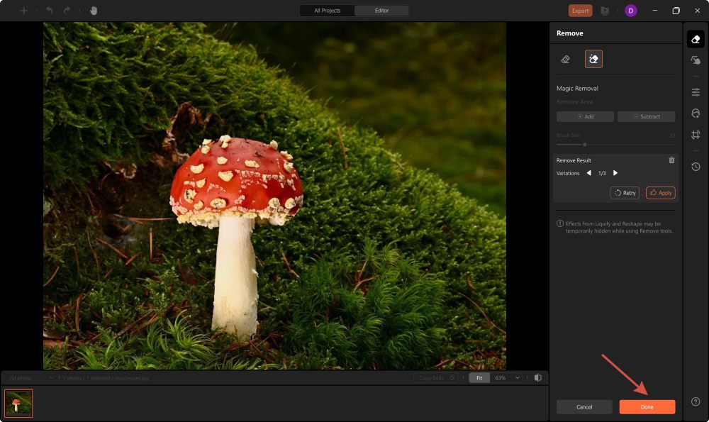 AirBrush Studio Screenshot EN - delete text Magic Removal result done