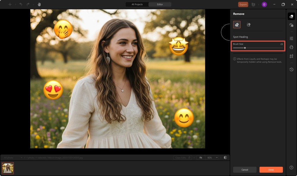 AirBrush Studio Screenshot EN - remove emoji object remover adjust brush size