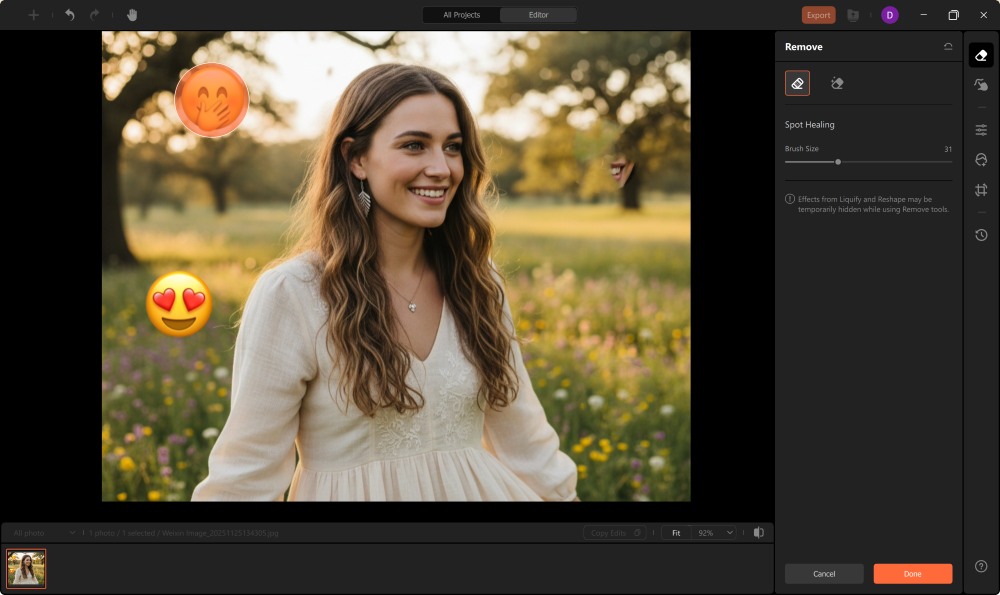 AirBrush Studio Screenshot EN - remove emoji object remover brush ober emoji
