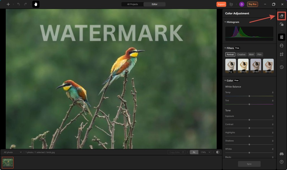 AirBrush Studio Screenshot EN - remove watermark choose eraser tool