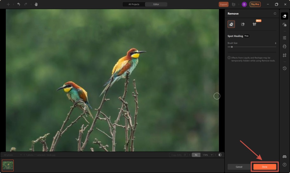 AirBrush Studio Screenshot EN - remove watermark click done