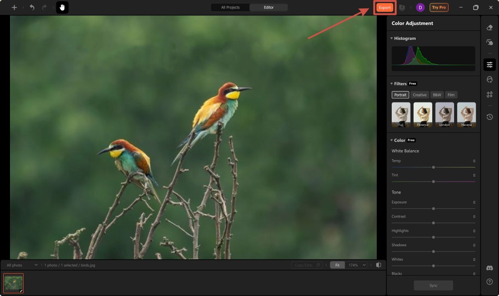 AirBrush Studio Screenshot EN - remove watermark export the result