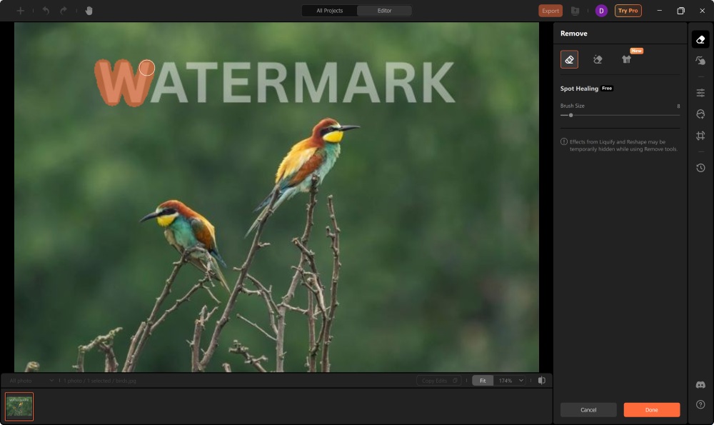 AirBrush Studio Screenshot EN - remove watermark highlight the watermark