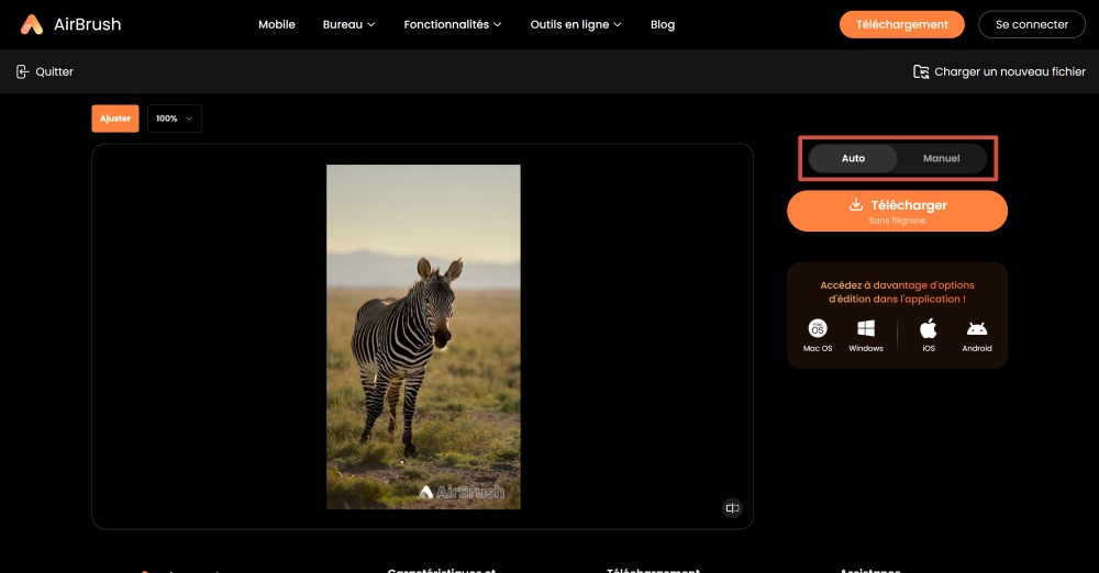 AirBrush Web Screenshot FR - remove watermark ai image watermark remover auto or manual