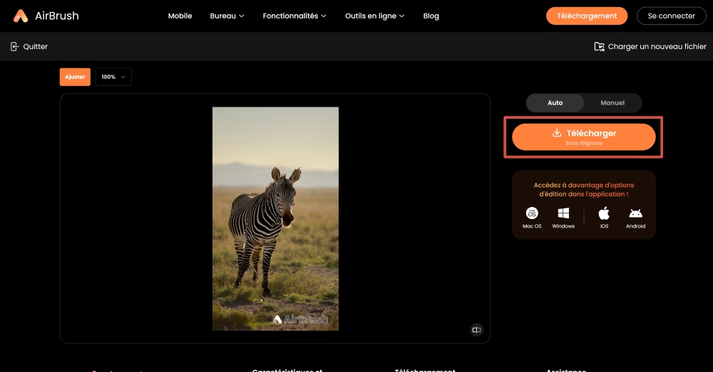 AirBrush Web Screenshot FR - remove watermark ai image watermark remover download the result