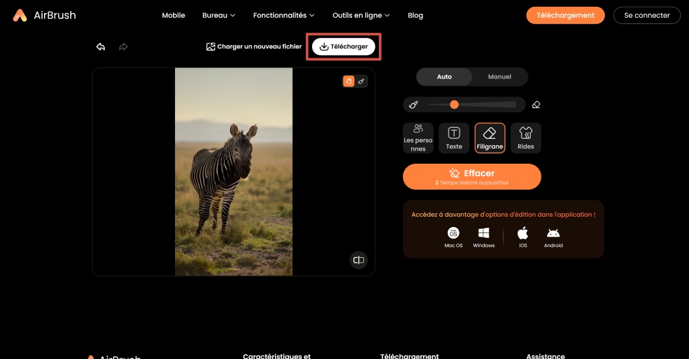 AirBrush Web Screenshot FR - remove watermark ai object remover download the result