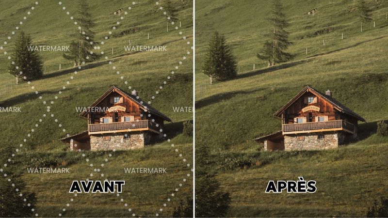 Comment enlever un filigrane sur une photo : les 9 meilleurs outils