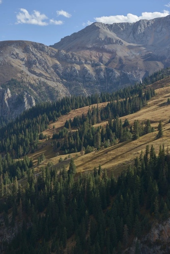 remove emoji from photos - nature example after