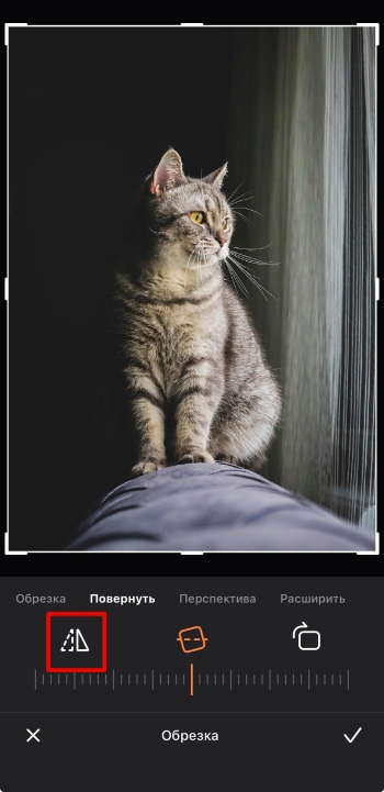 Airbrush App Screenshot RU - mirror the photo edit crop rotate mirror horizontally