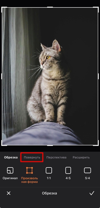 Airbrush App Screenshot RU - mirror the photo edit crop rotate